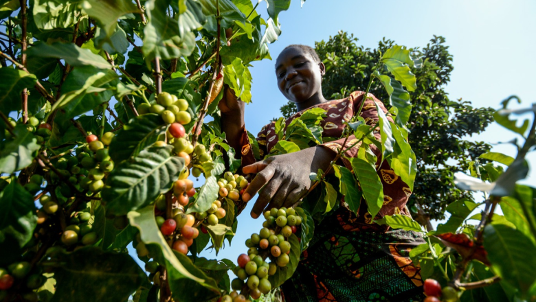 Enabling women producers cover