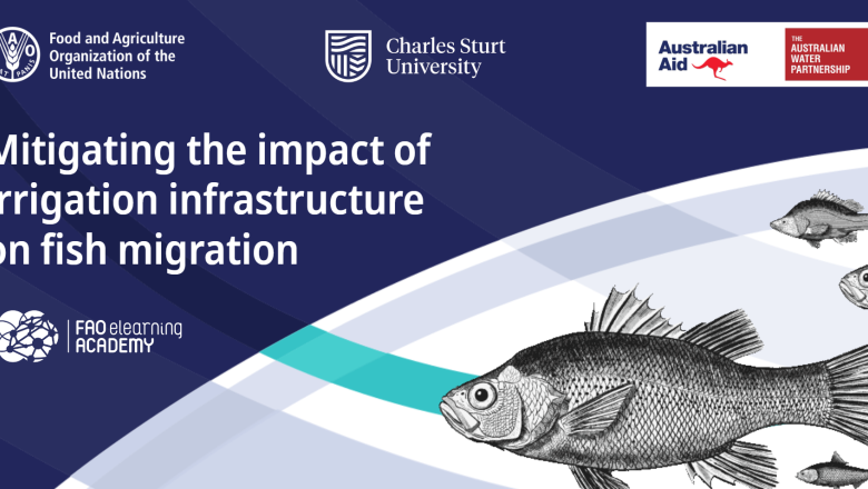 Mitigating the impact of irrigation infrastructure on fish migration - cover