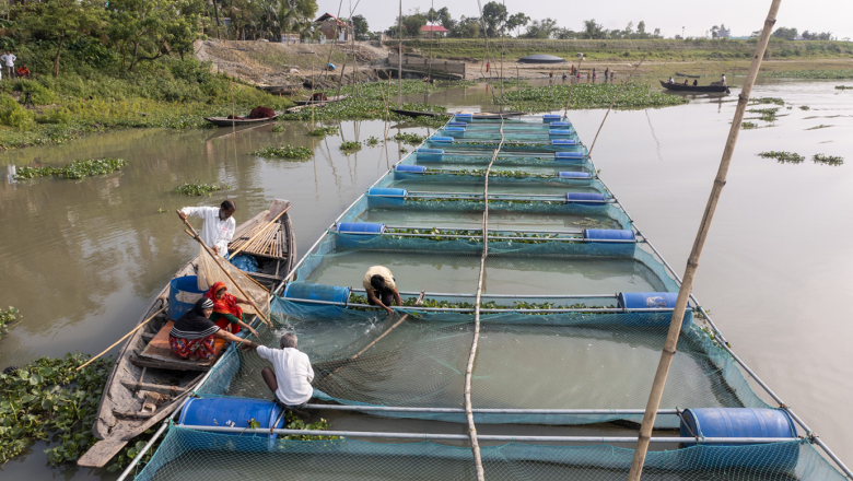 Pathway to aquaculture biosecurity