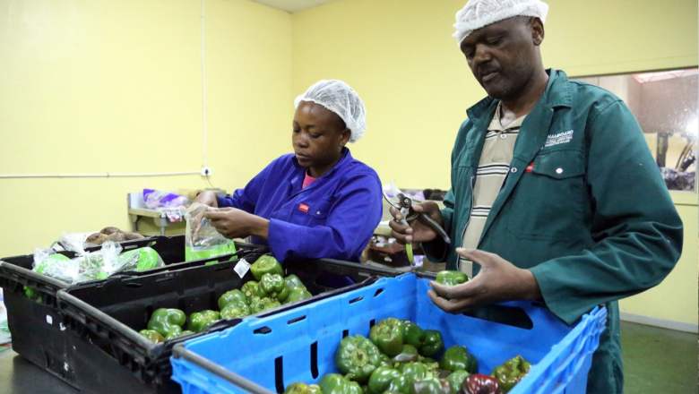 Fostering decent wage employment for women and men