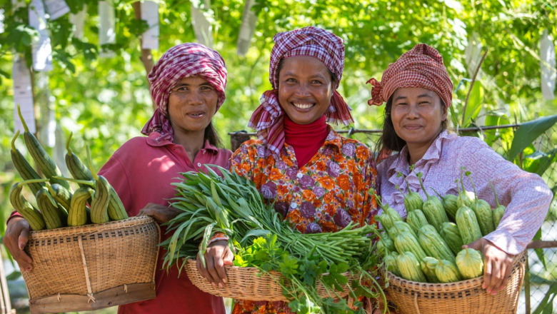 Minimum dietary diversity for women