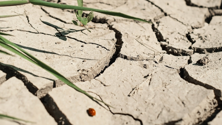 Measures for coping with soil salinity