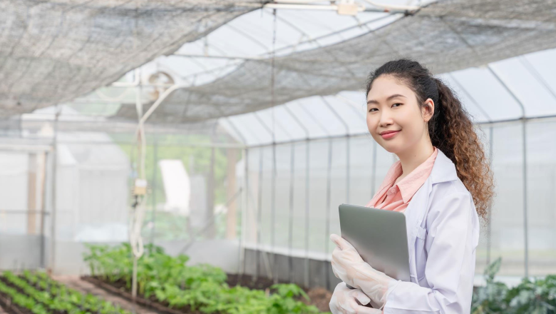 Surveillance and pest status determination