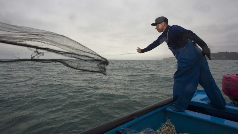 Developing and implementing National Plans of Action for small-scale fisheries
