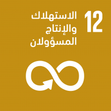 الهدف 12: الاستهلاك والإنتاج المسؤولان